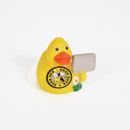 Spring Duck